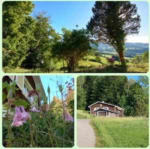 Gemütliches Ferienhäuschen in der Ostschweiz (Toggenburg)