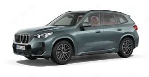 BMW X1 xDrive23d M Sport AdLED HeadUp AHK 360° Cam