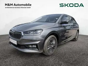 Skoda Fabia 1.0 TSI Tour AHK KAM LED ACC SHZ PDC