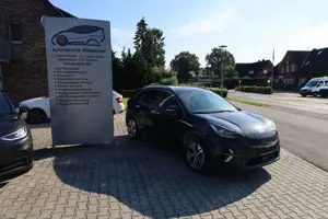 Kia Others Niro EVVision 64KWH SoH 100% AHK Leder