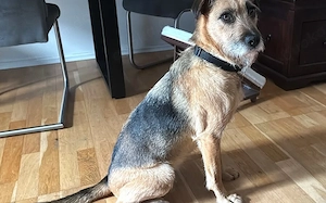 Vicky sucht Familienanschluss