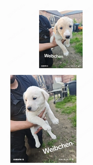 Wir suchen ein neues Zuhause
