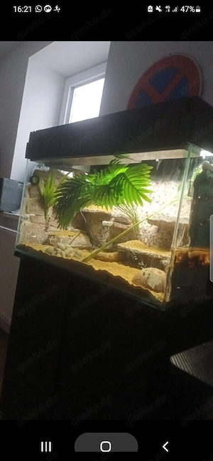 aquarium terrarium