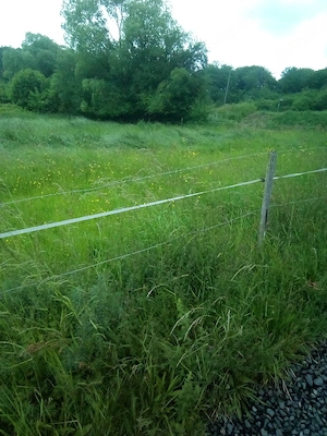 Einstellplatz Weide Offenstall 