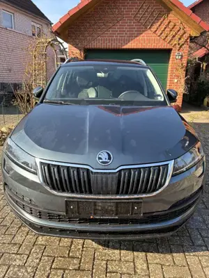 Skoda Karoq Karoq 2.0 TDI SCR 4x4 DSG Style