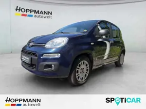 Fiat Panda 1.2 8V Easy *Klima*eFenster*MP3*ZV*