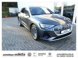 Audi e-tron 55 quattro 300KW S line AHK/LED/PDC