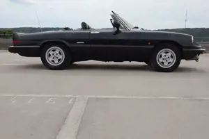 Alfa Romeo Spider
