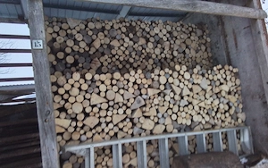 Brennholz  Esche   Eur  75,--   RM