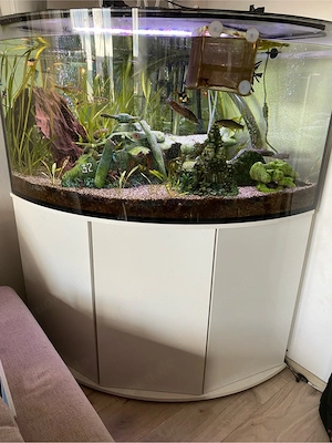 Eckaquarium 350L ohne Besatz ohne Deckel