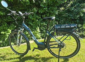 E-Bike Pegasus Solara E8