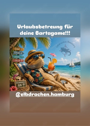 Urlaubsbetreung für deine Bartagame!!!