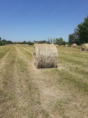 Verkaufe Heu ( Rundballen )