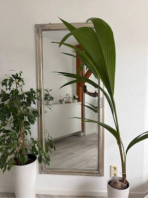 Barocker Spiegel