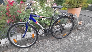 SCOTT Herren City Bike
