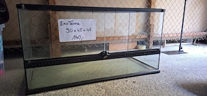 Exoterra Terrarien 