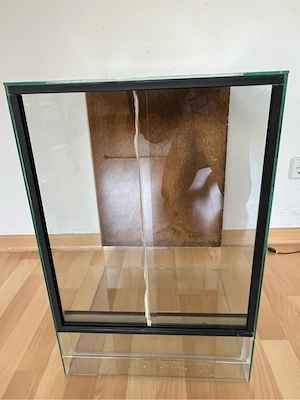 Glasterrarium 40x40x60 cm Bild 3