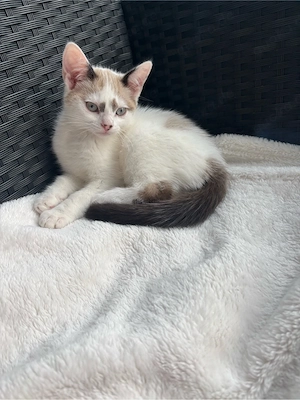Neo sucht sein Für Immer Zushuse 