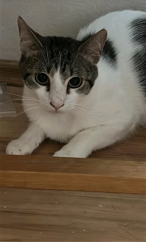 Marti ist auf der Suche nach einem liebevollen Zuhause