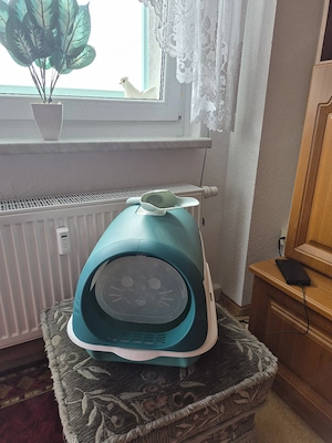 1 Katzentoilette in Grün