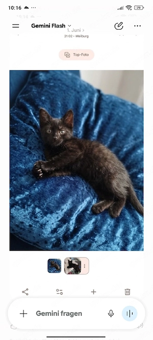 liebes zuhause gesucht 