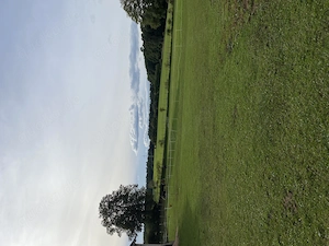 Biete Platz im Offenstall für Wallach  Bild 3