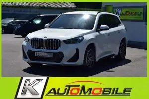 BMW X1 23d xDrive M Sport ACC+360°Kamera+Navi+AHK