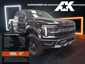 Ford Others