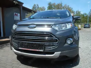 Ford EcoSport Titanium 1.Hand Top-Zustand