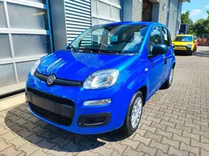 Fiat Panda Pandina MY 26 1,0 ICON