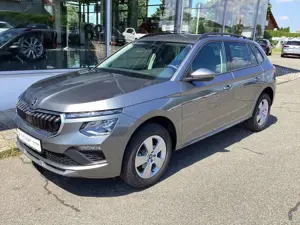 Skoda Kamiq 1.0 TSI DSG Selection/RFK/Matrix/ACC/AHK