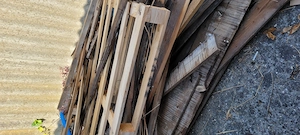 Brennholz 