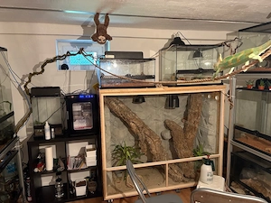 exo terra und tiere aller art 
