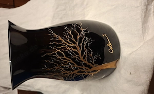 Colanivase 