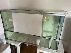 terrarium zu verschenken