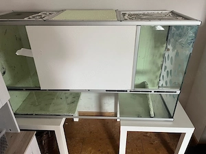 terrarium zu verschenken