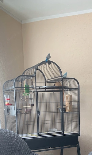 VogelKäfig Bild 2