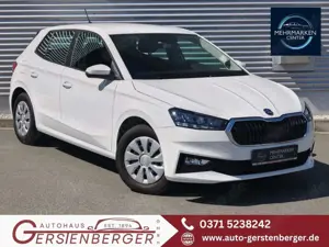 Skoda Fabia Selection 1.0TSI DSG LED/TEMPOMAT/KLIMAAUT