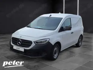 Mercedes-Benz Citan 112 CDI Hecktüren 180°*Park Paket