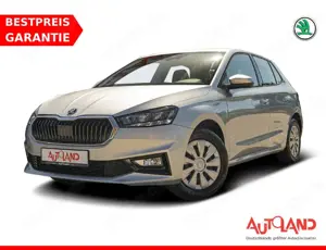 Skoda Fabia 1.0 MPI Active LED PDC Sitzheizung DAB