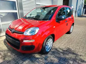 Fiat Panda Pandina MY26 1,0 ICON