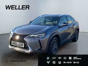 Lexus UX 250h LAUNCH EDITION *SHZ*PDC*RCam*ACC*