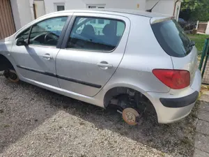 Peugeot 307 307 110 Sport