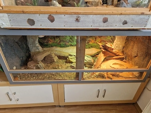 TERRARIUM 180 50 50
