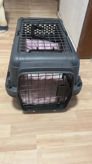 Transportbox