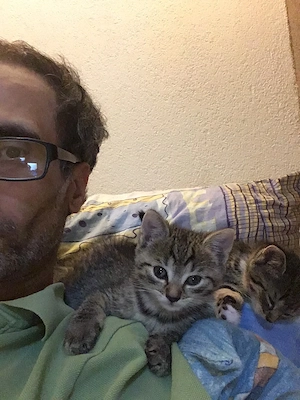 Kitten abzugeben am 14.07.26