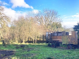 EINFAMILIENHAUS in SEENÄHE Haus mit Garage Baugrundstück 2.500 qm Bauplatz Mietkauf Bild 10