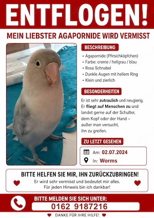 vogel entflogen in worms