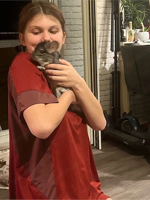 chinchilla suchen dringend 