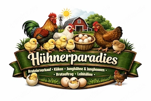 Hahn Hähne Junghahn Buntleger Blau Grün